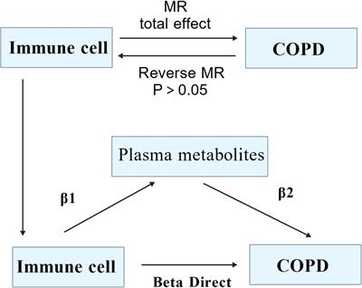 Dissecting causal relationships between immune cells, plasma metabolites, and COPD: a mediating Mendelian randomization study